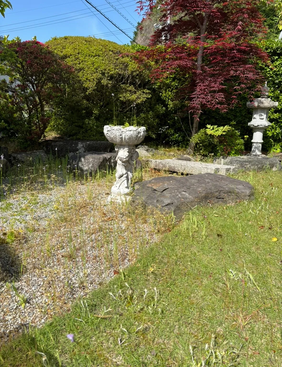 お庭の草取り、草刈り、庭木の剪定なら、ぜひ「便利屋ファミリー...