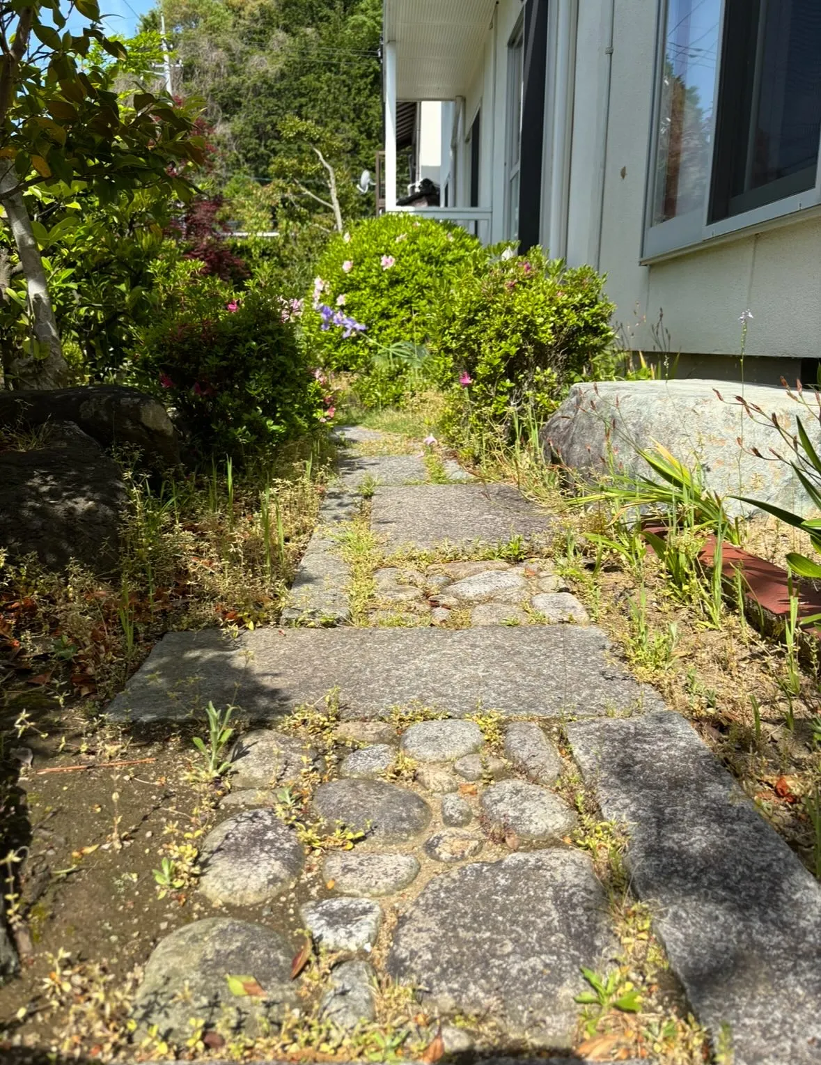 お庭の草取り、草刈り、庭木の剪定なら、ぜひ「便利屋ファミリー...
