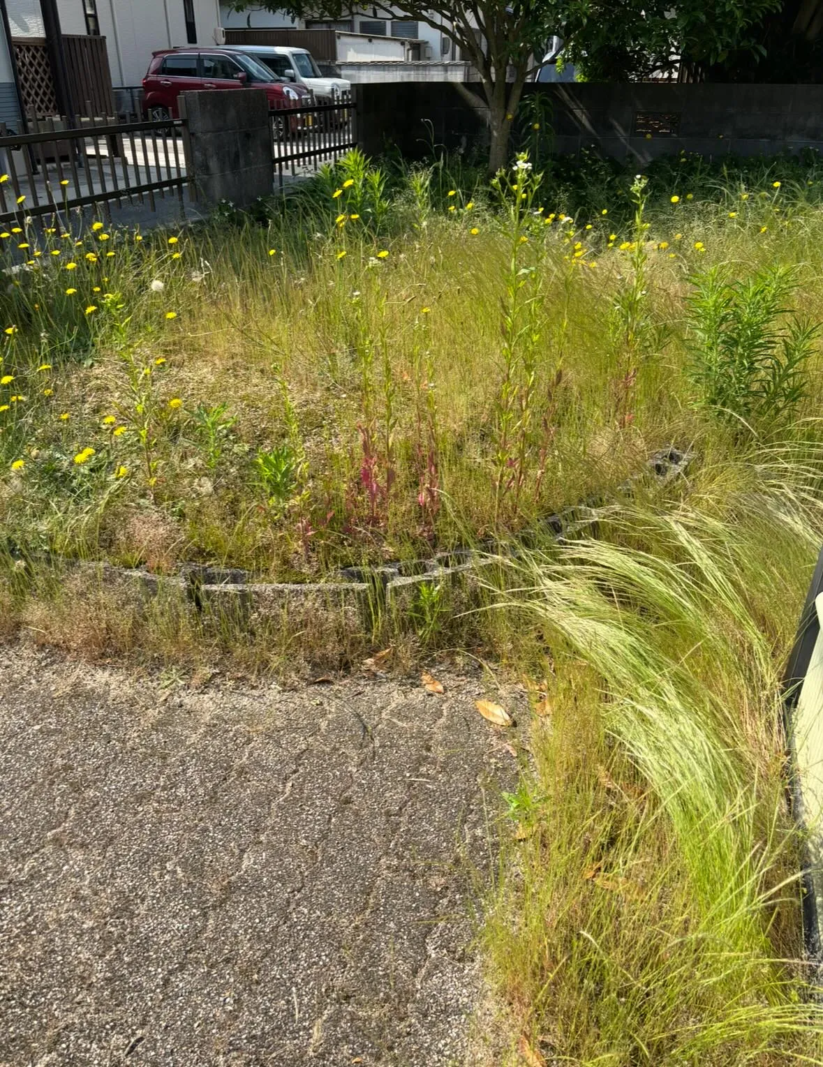 松江市の草刈り、草刈り、庭木剪定は私たちにお任せください！！