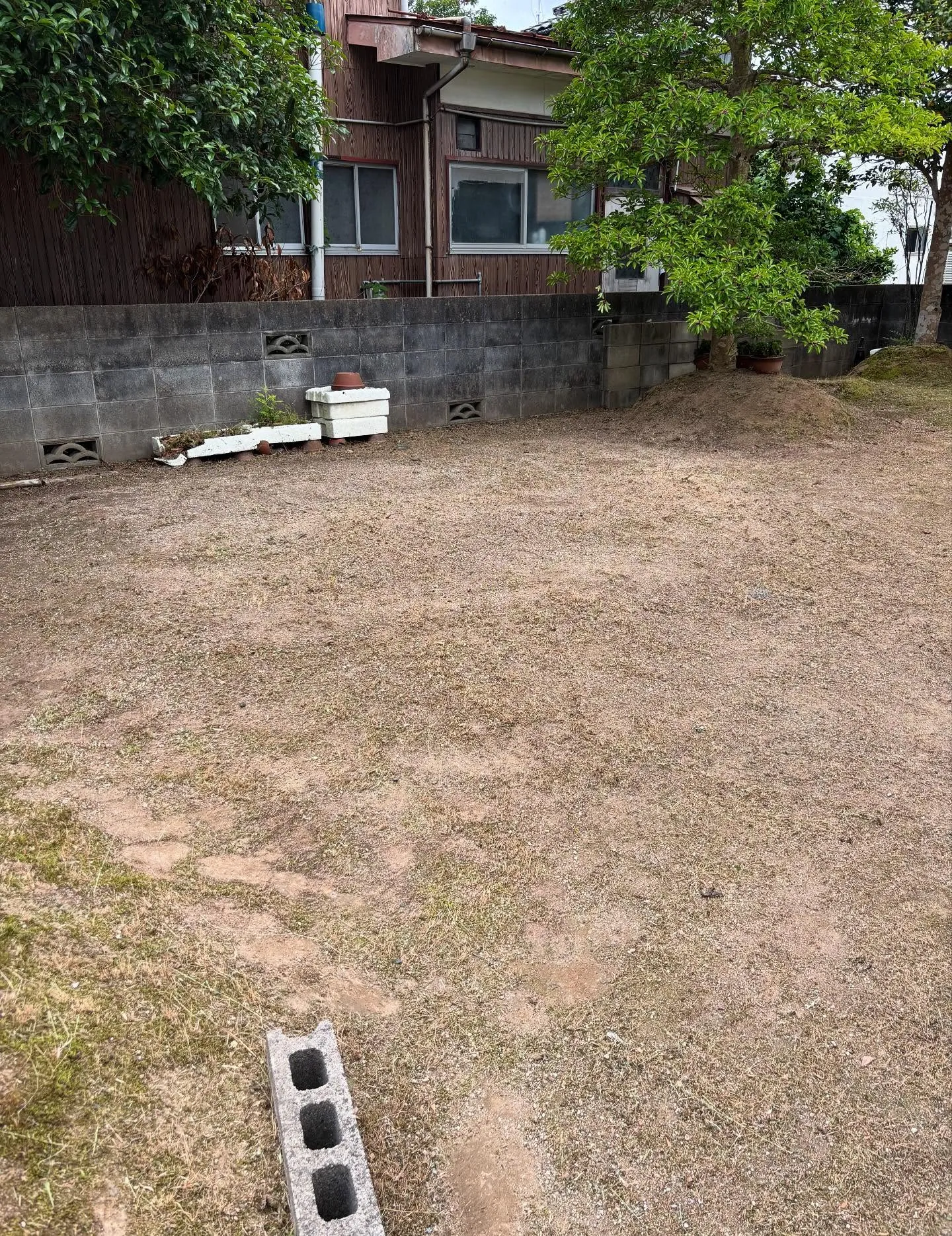 松江市の草刈り、草刈り、庭木剪定は私たちにお任せください！！