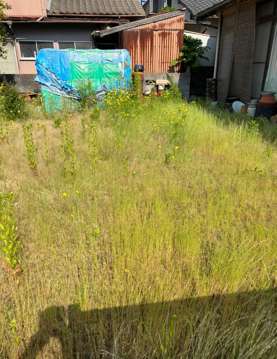 松江市の草刈り、草刈り、庭木剪定は私たちにお任せください！！