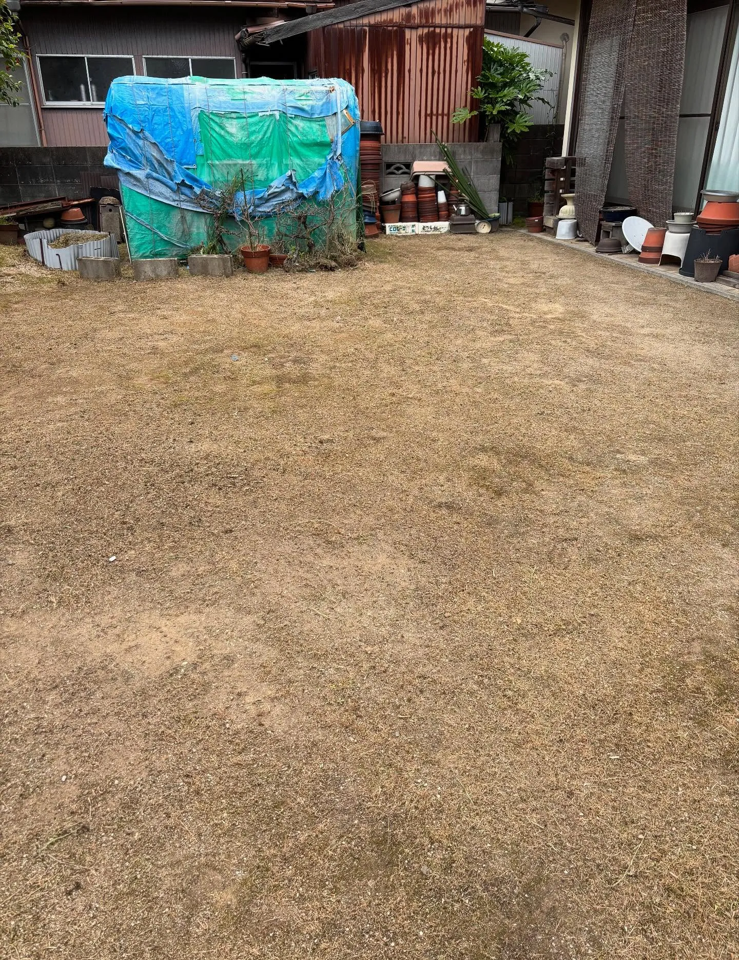 松江市の草刈り、草刈り、庭木剪定は私たちにお任せください！！