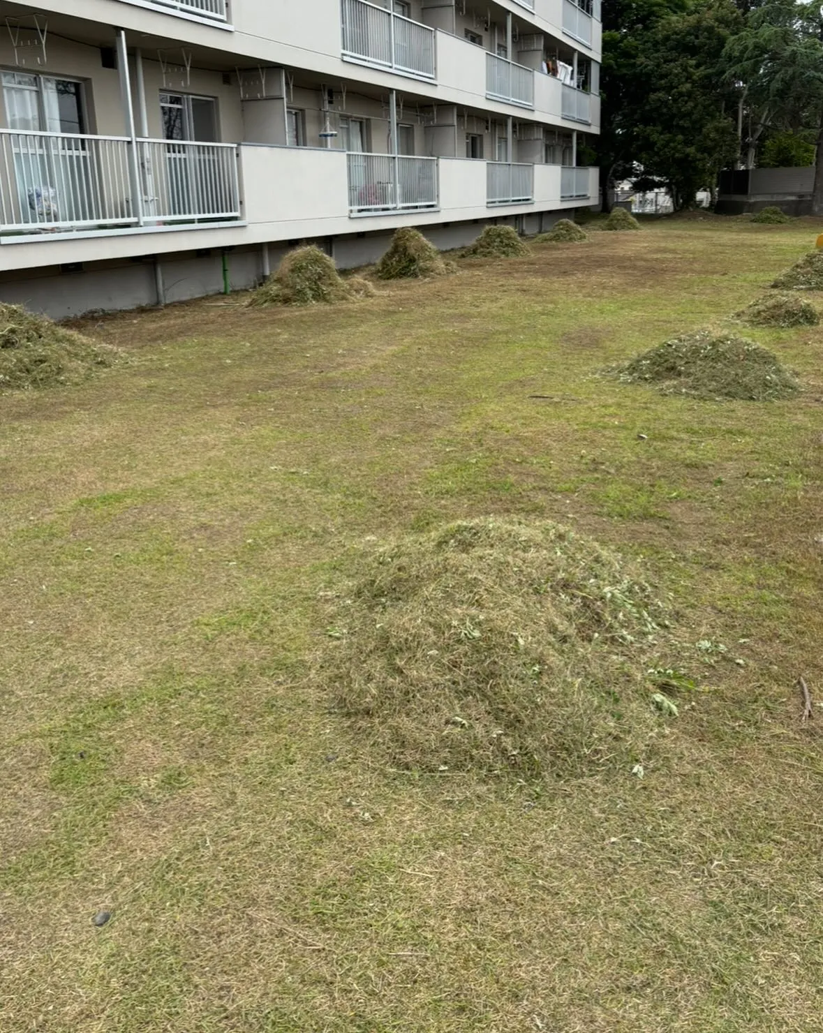 20250614144757_0_1.jpg