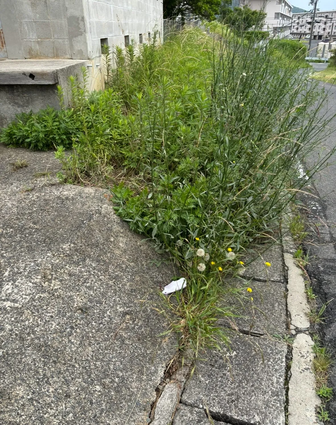 20250614144757_0_5.jpg