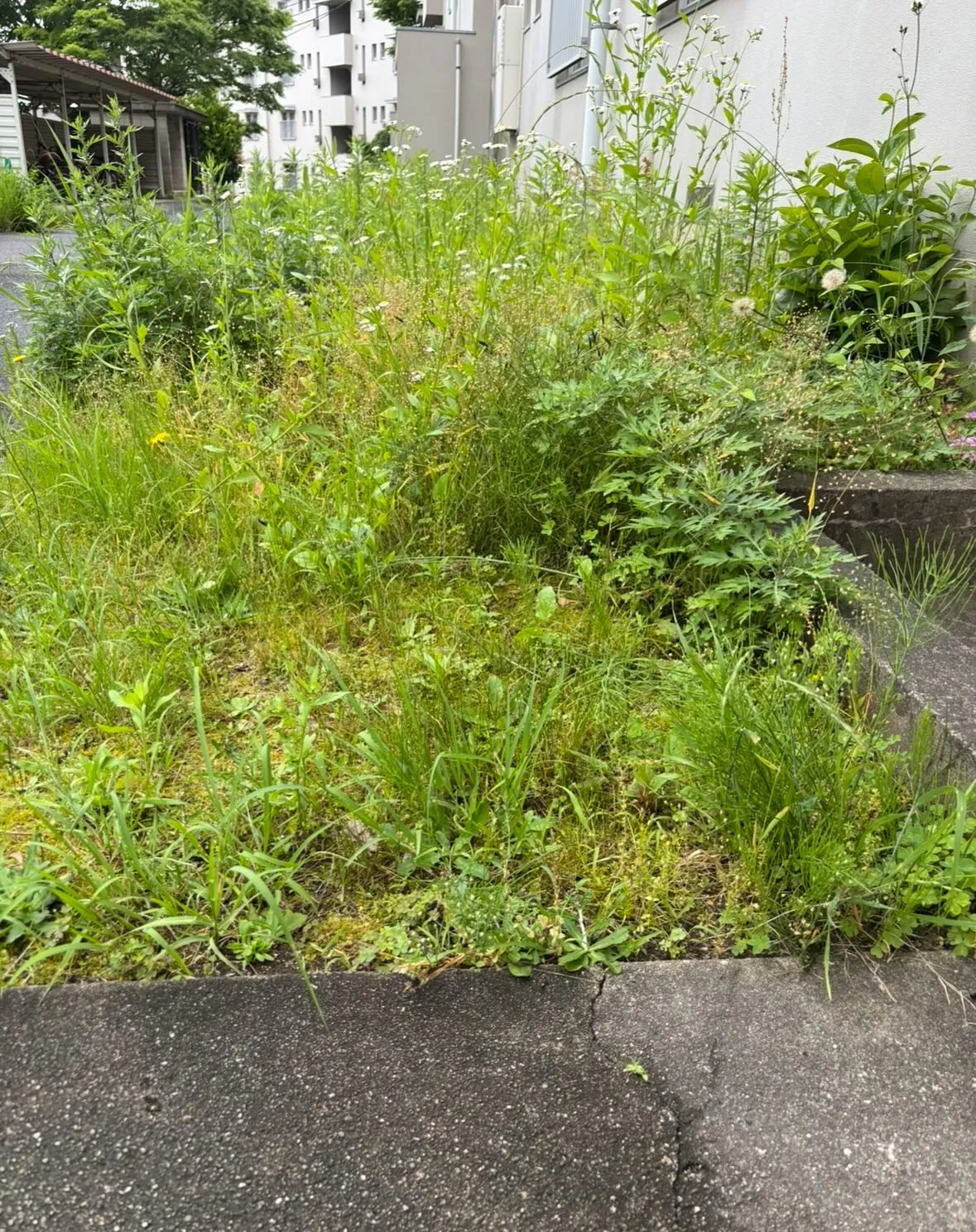 20250614144757_0_7.jpg