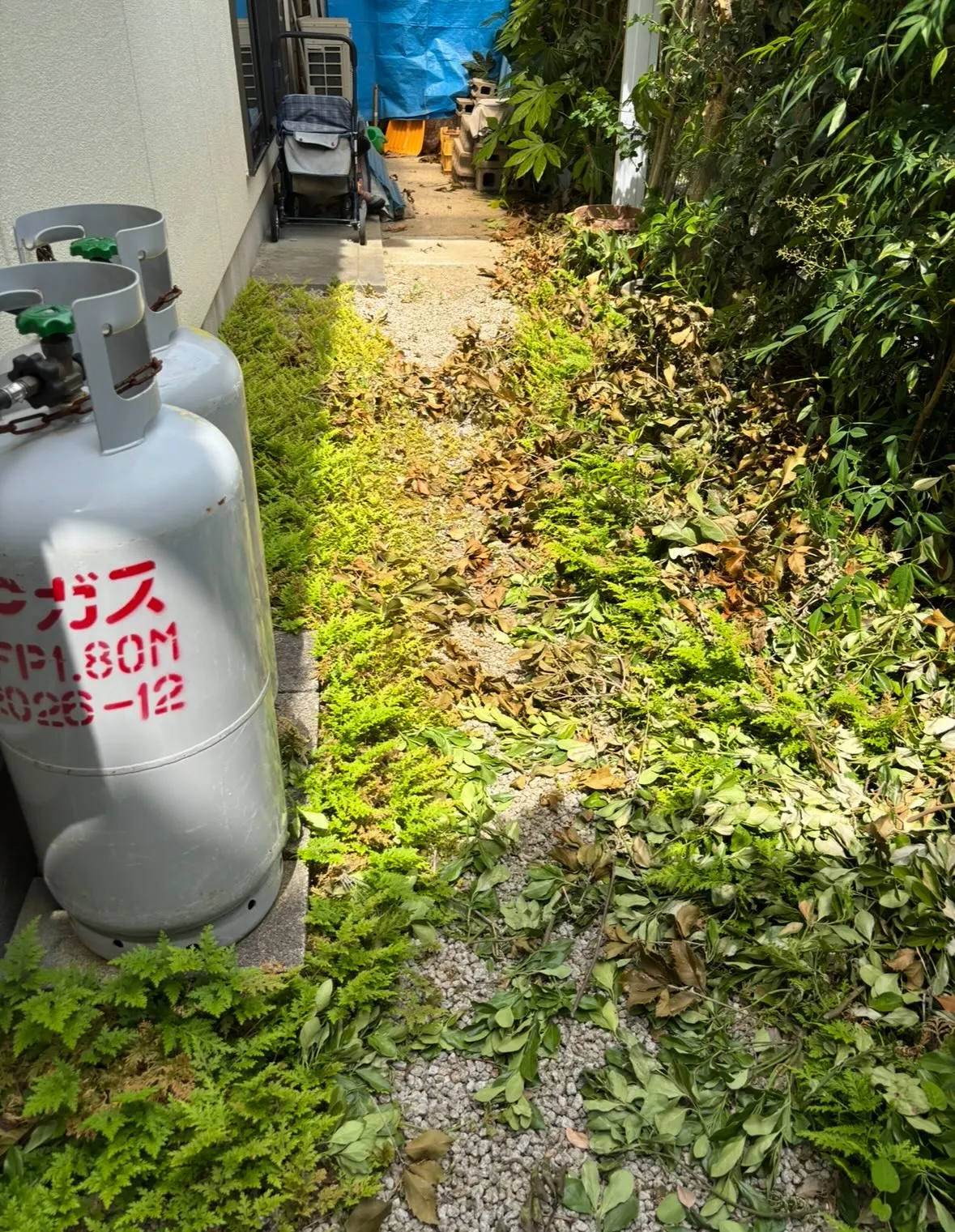 庭の草取り、草刈り、庭木剪定等の、庭のお手入れに関する事は、...
