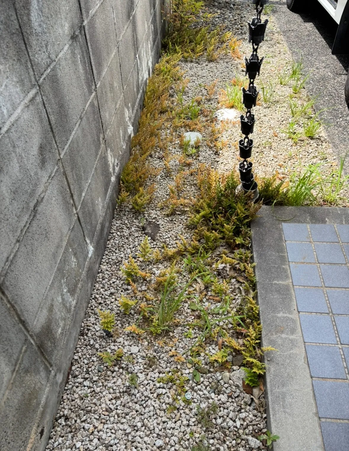 庭の草取り、草刈り、庭木剪定等の、庭のお手入れに関する事は、...