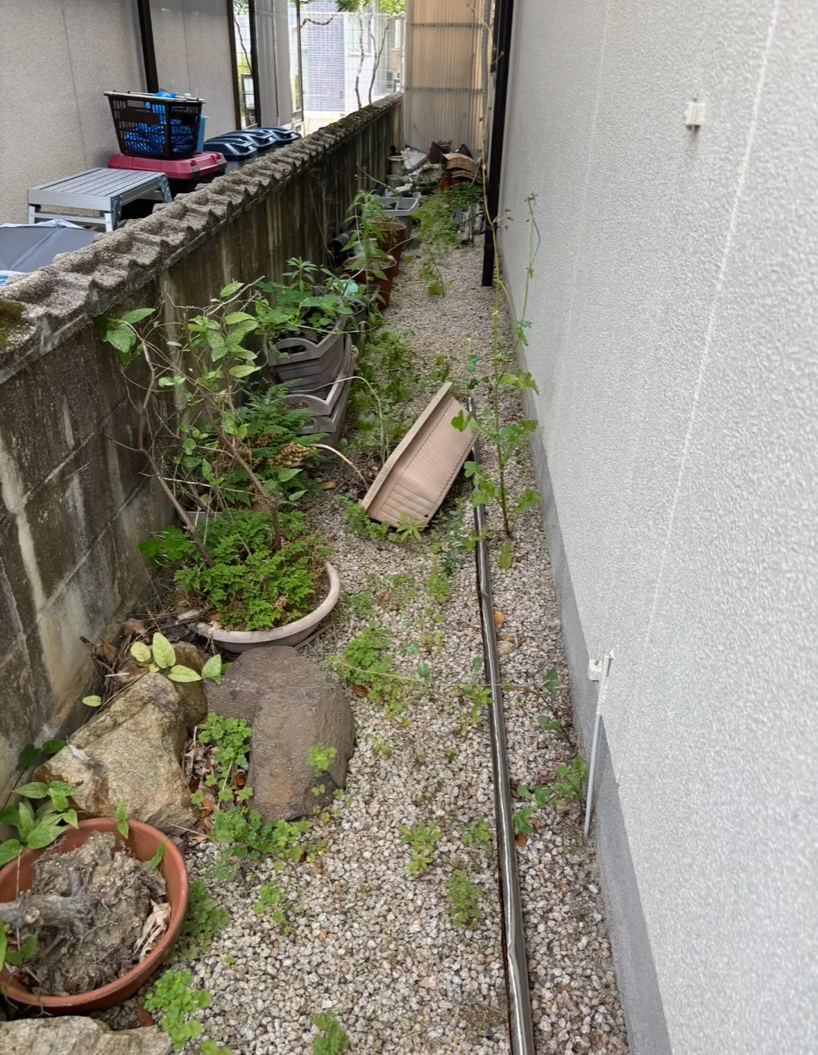 庭の草取り、草刈り、庭木剪定等の、庭のお手入れに関する事は、...