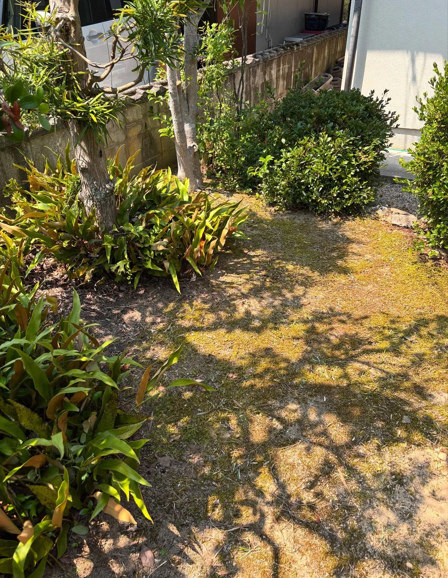 庭の草取り、草刈り、庭木剪定等の、庭のお手入れに関する事は、...