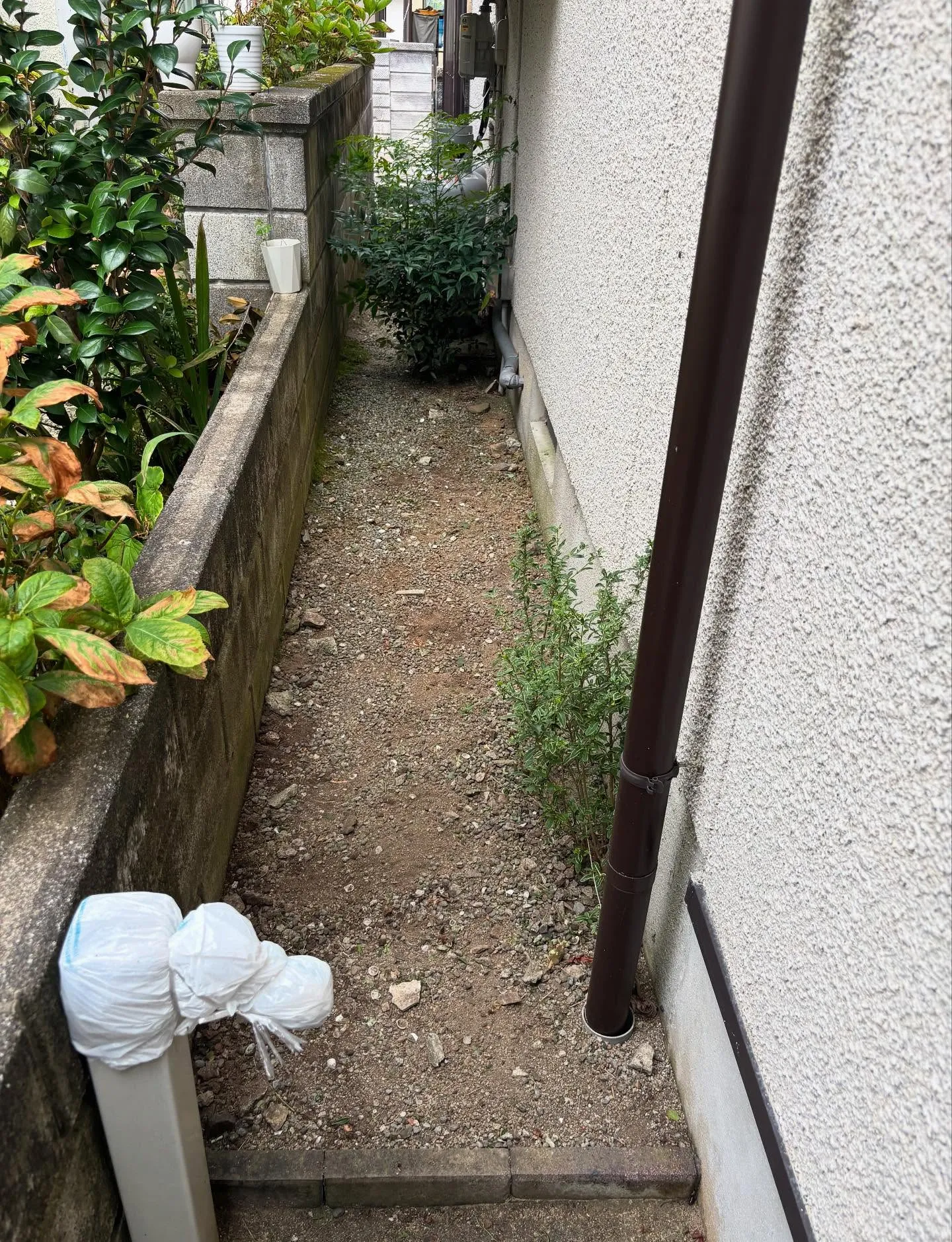 松江市、草取り、草刈り等の除草作業について🎵