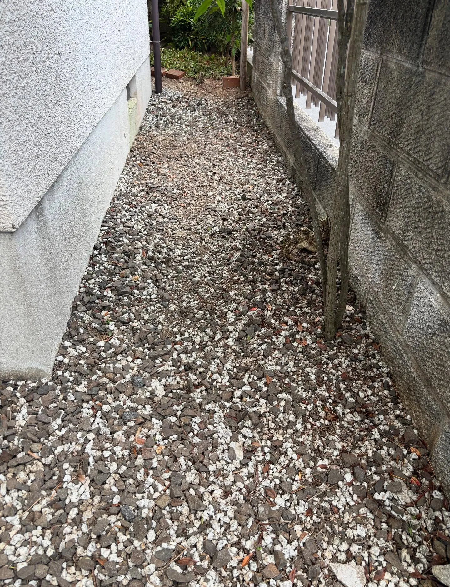 松江市、草取り、草刈り等の除草作業について🎵