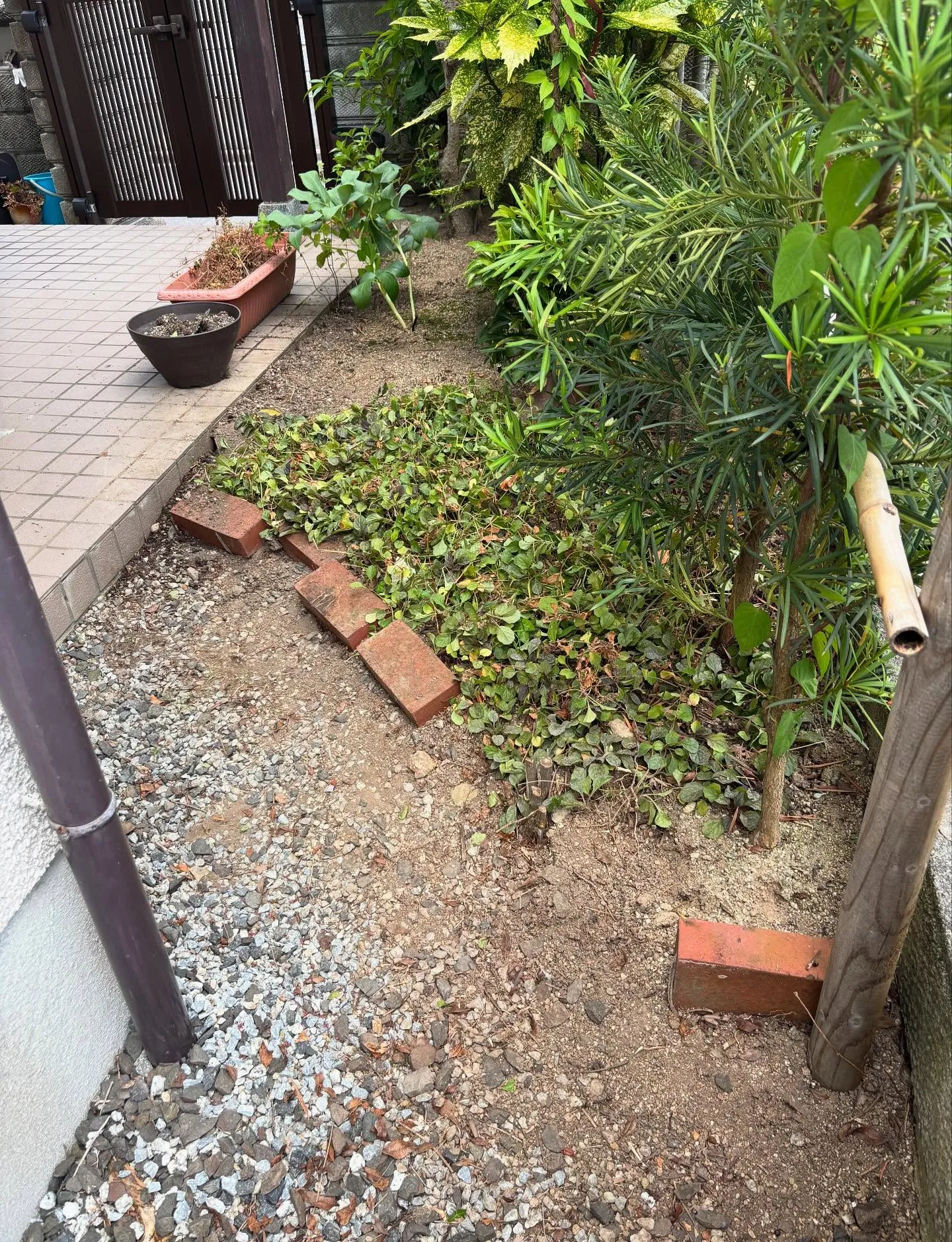 松江市、草取り、草刈り等の除草作業について🎵
