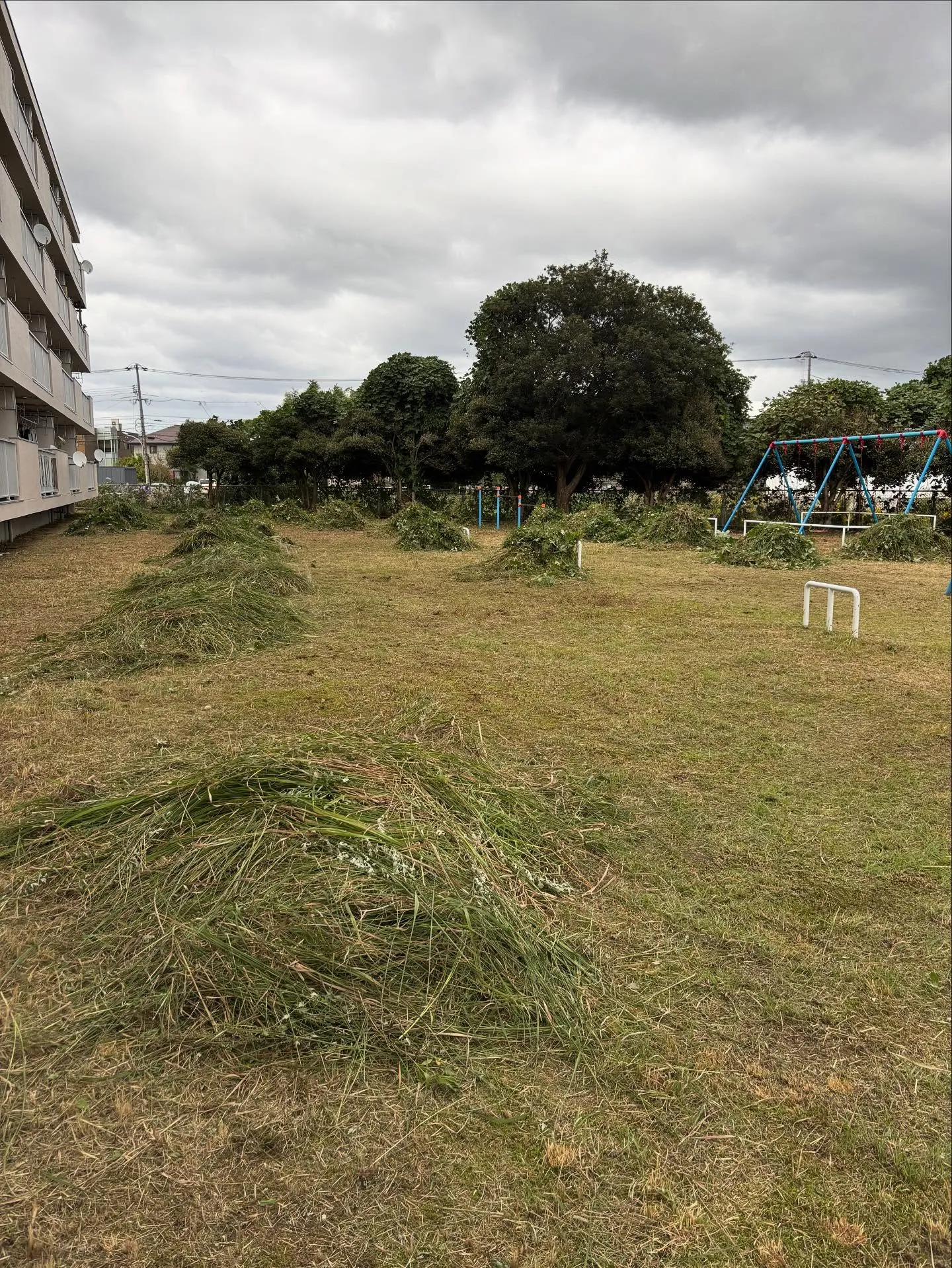 🌿松江市の草刈り、草取りについて🌿
