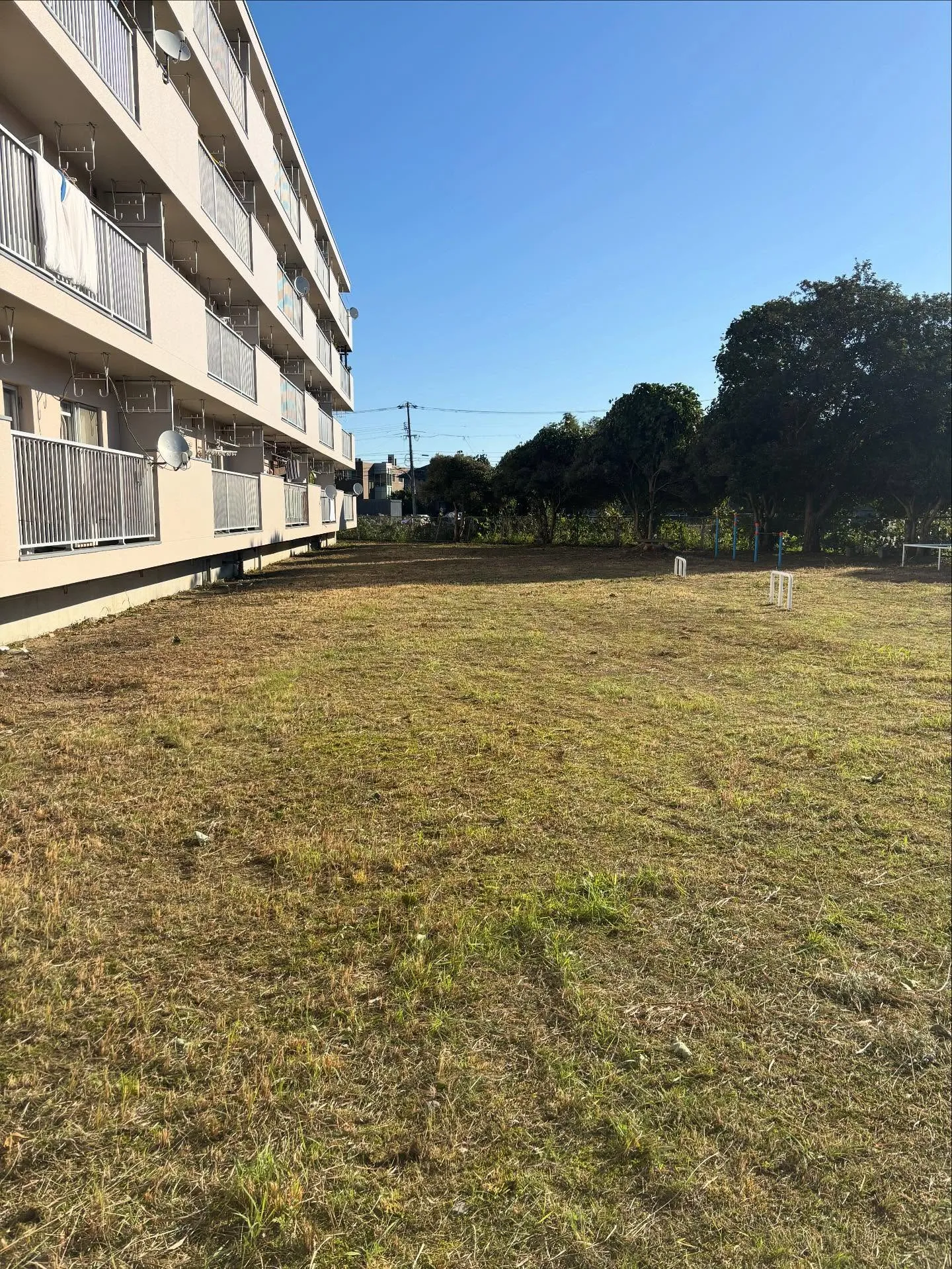 🌿松江市の草刈り、草取りについて🌿