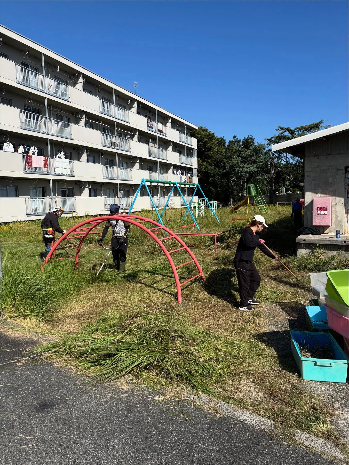 🌿松江市の草刈り、草取りについて🌿