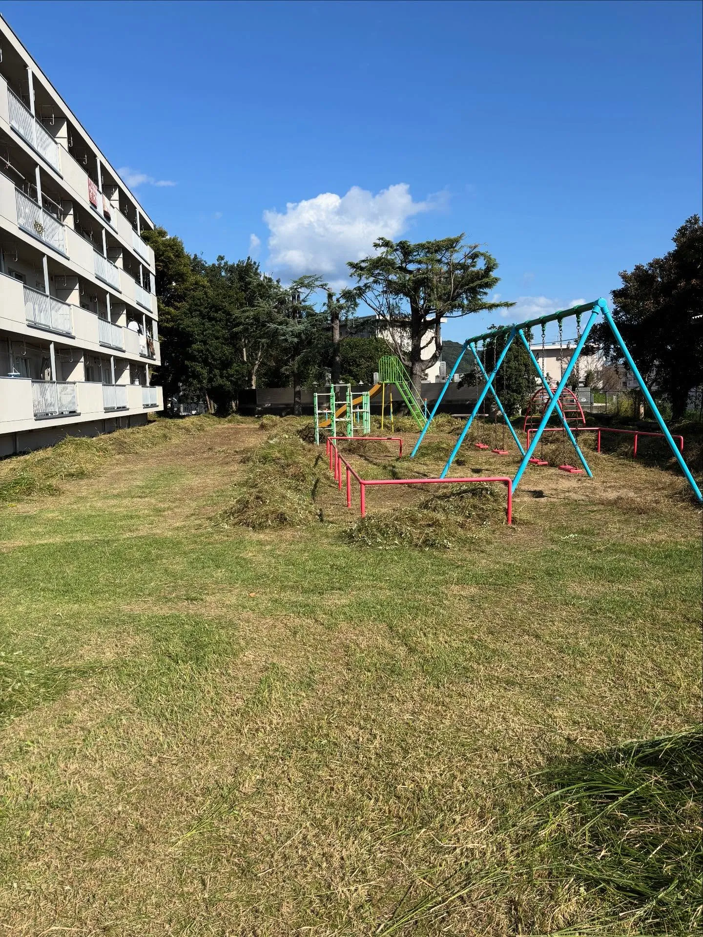🌿松江市の草刈り、草取りについて🌿
