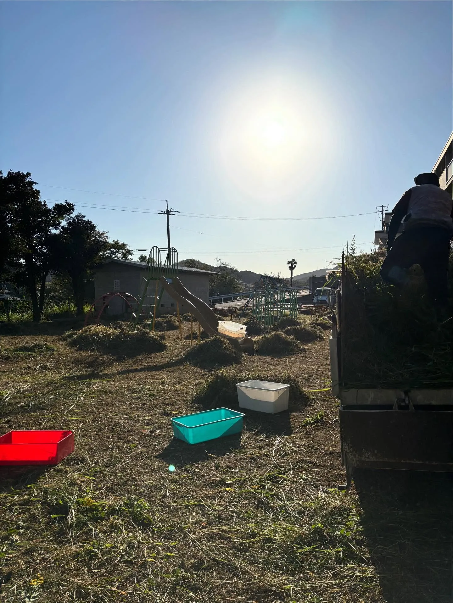 🌿松江市の草刈り、草取りについて🌿