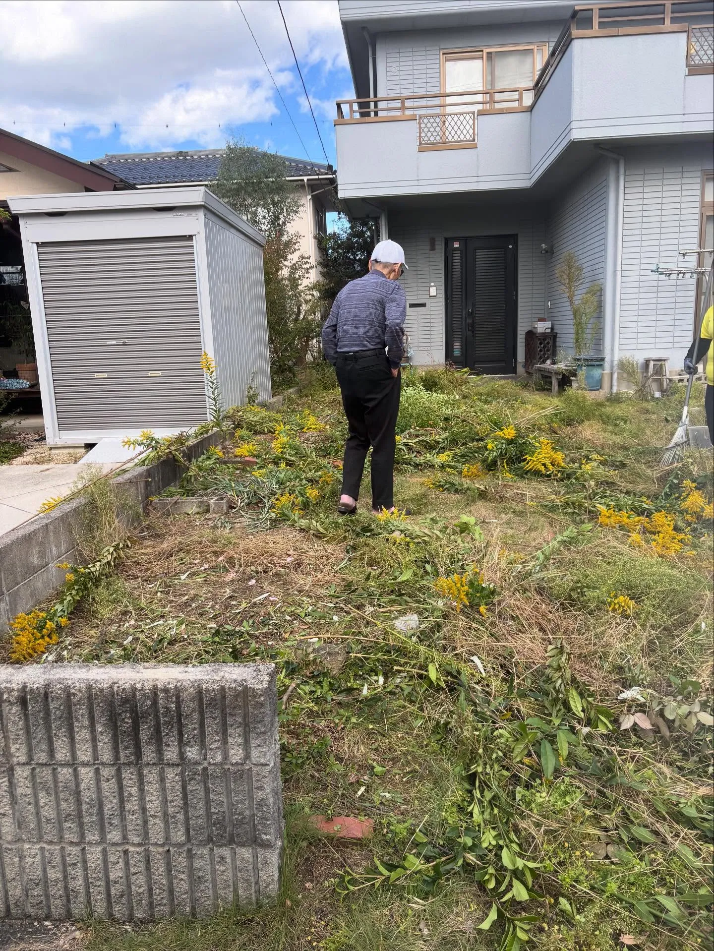 🌿草取り、除草作業について🌿