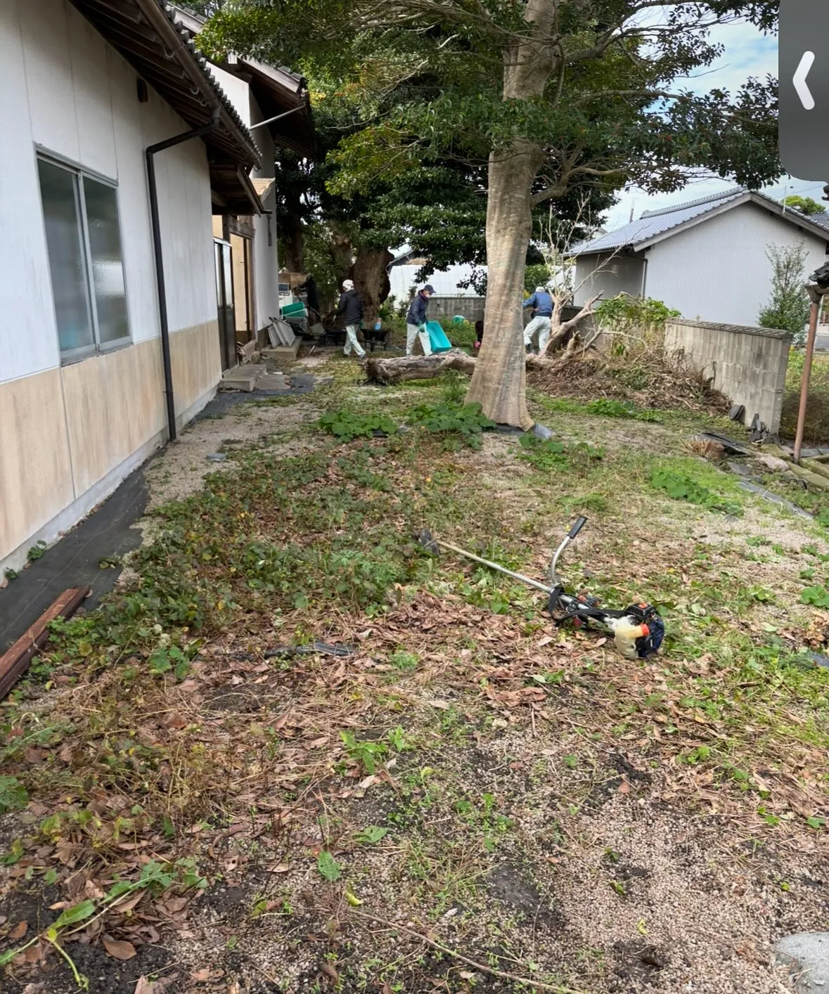 松江市の草取り、除草作業、お庭のお手入れについて🍃✨