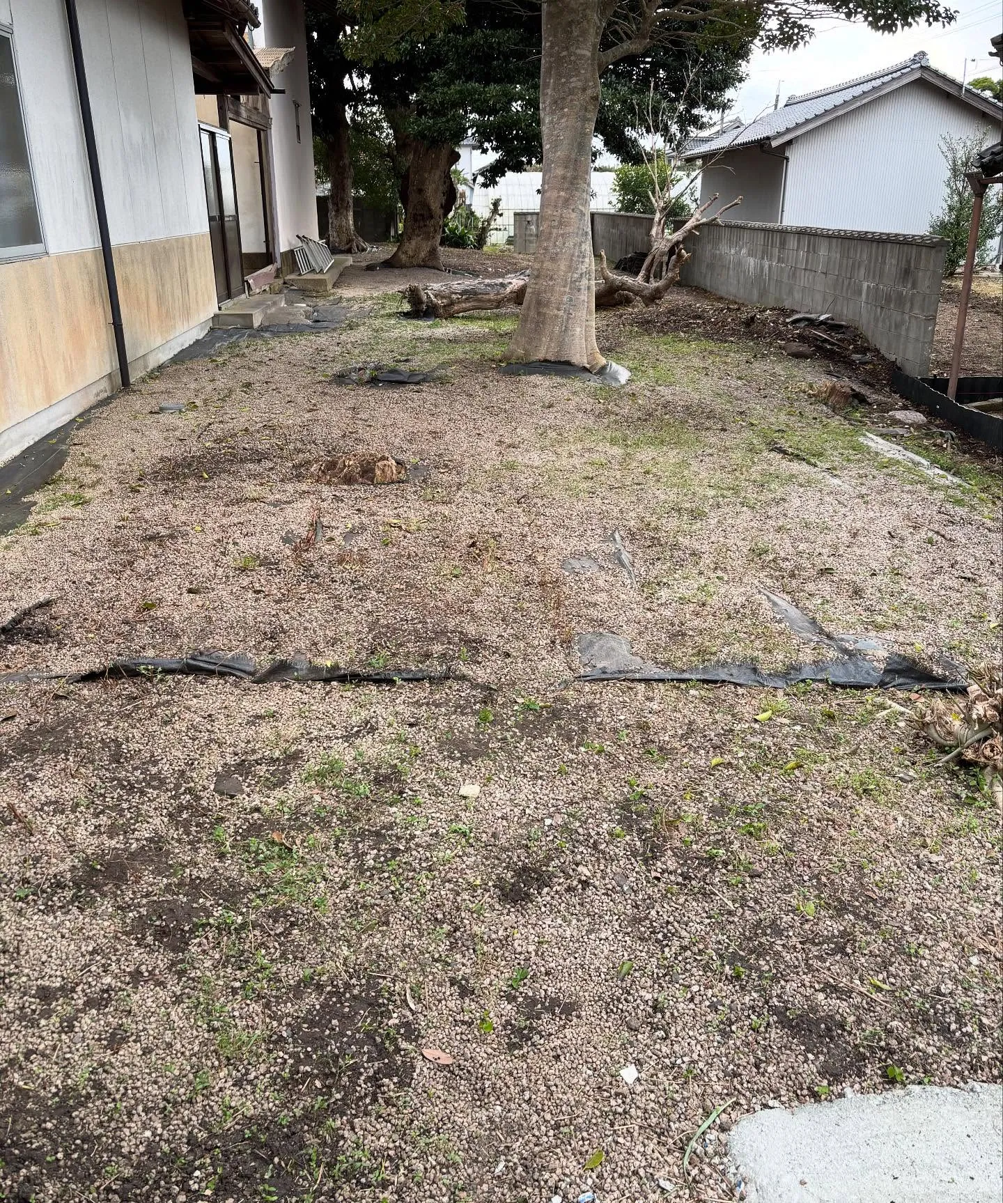松江市の草取り、除草作業、お庭のお手入れについて🍃✨