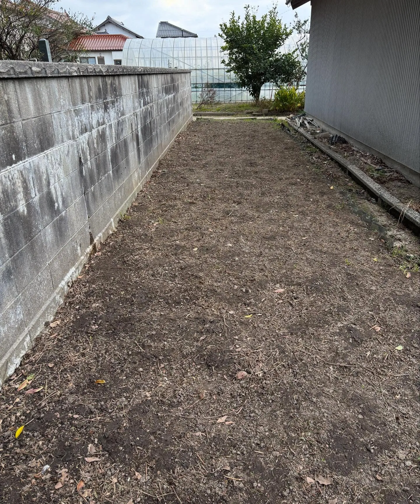 松江市の草取り、除草作業、お庭のお手入れについて🍃✨