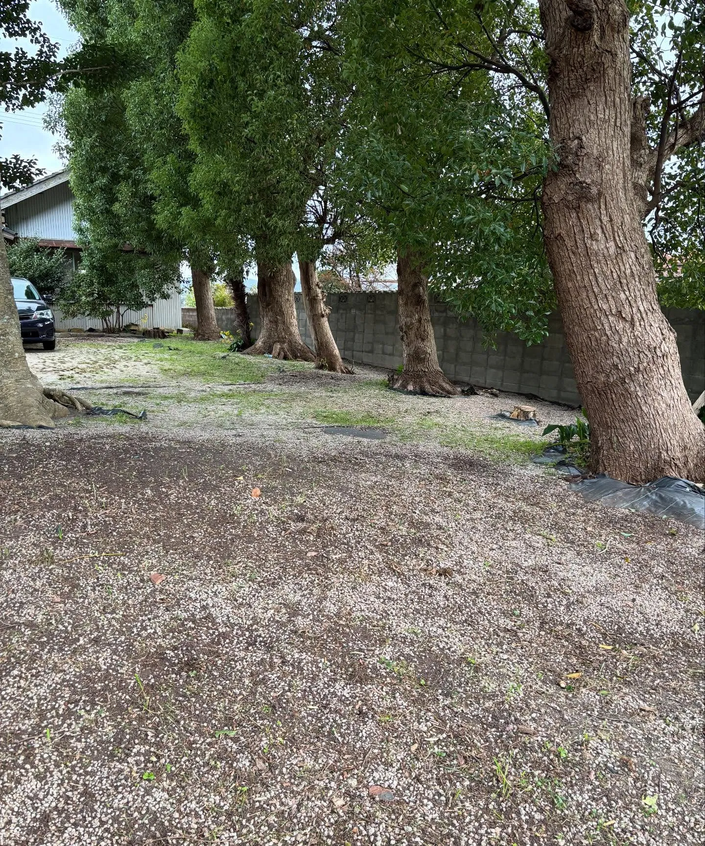 松江市の草取り、除草作業、お庭のお手入れについて🍃✨