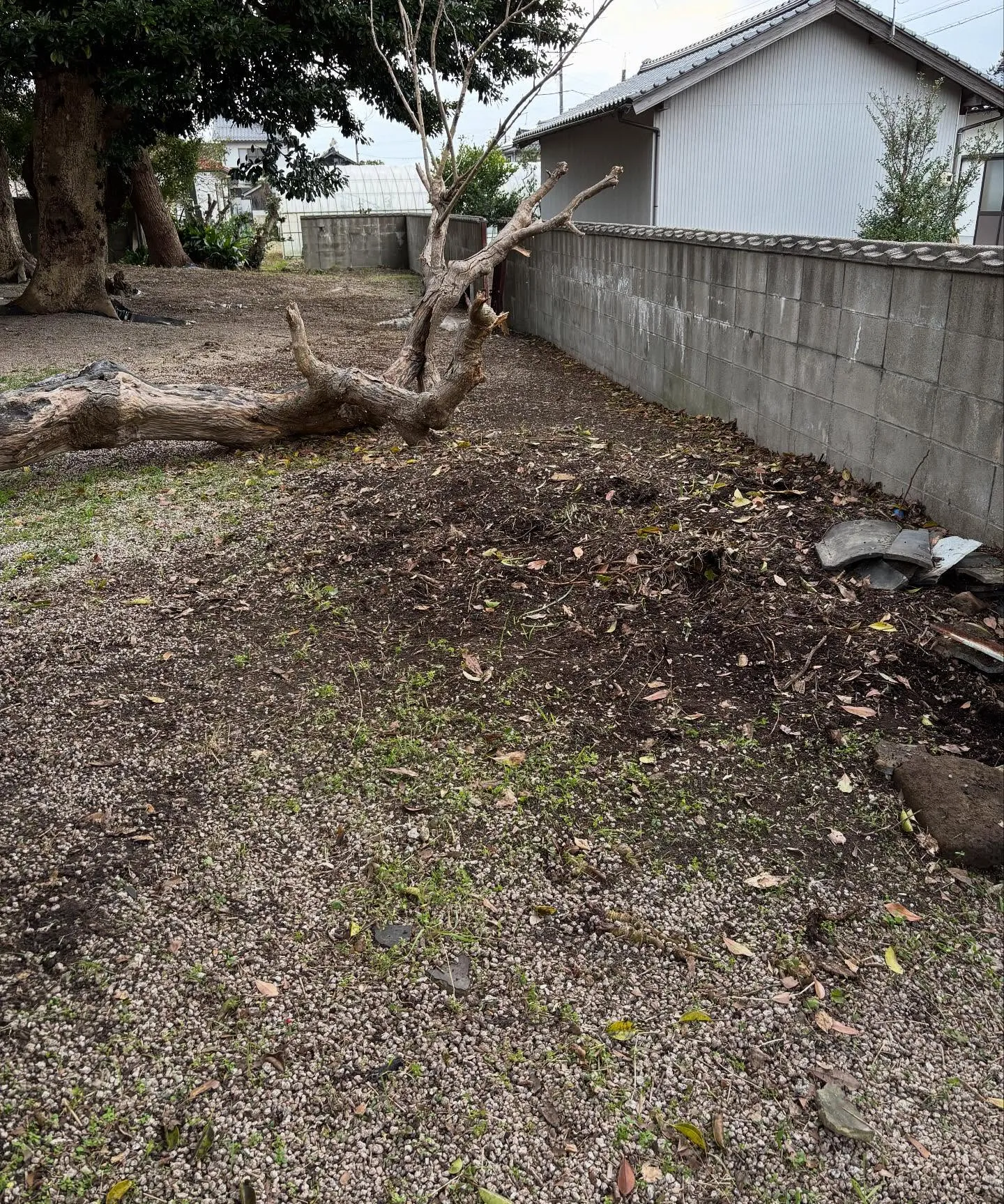 松江市の草取り、除草作業、お庭のお手入れについて🍃✨