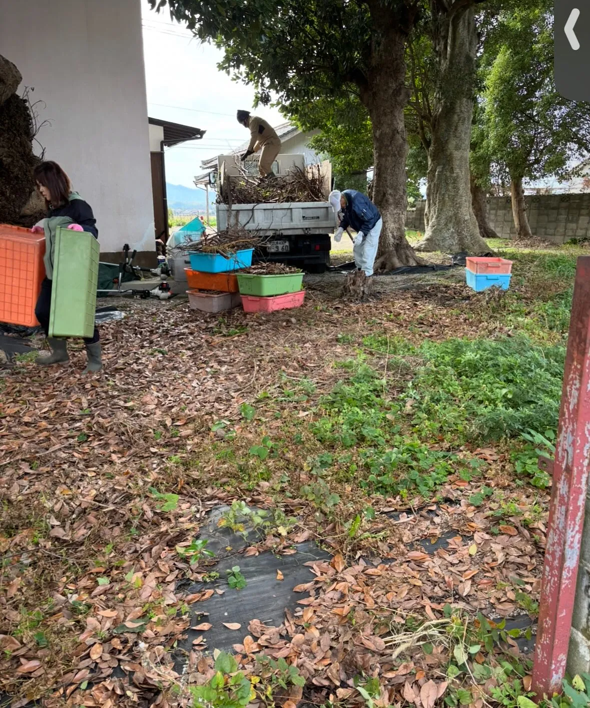 松江市の草取り、除草作業、お庭のお手入れについて🍃✨