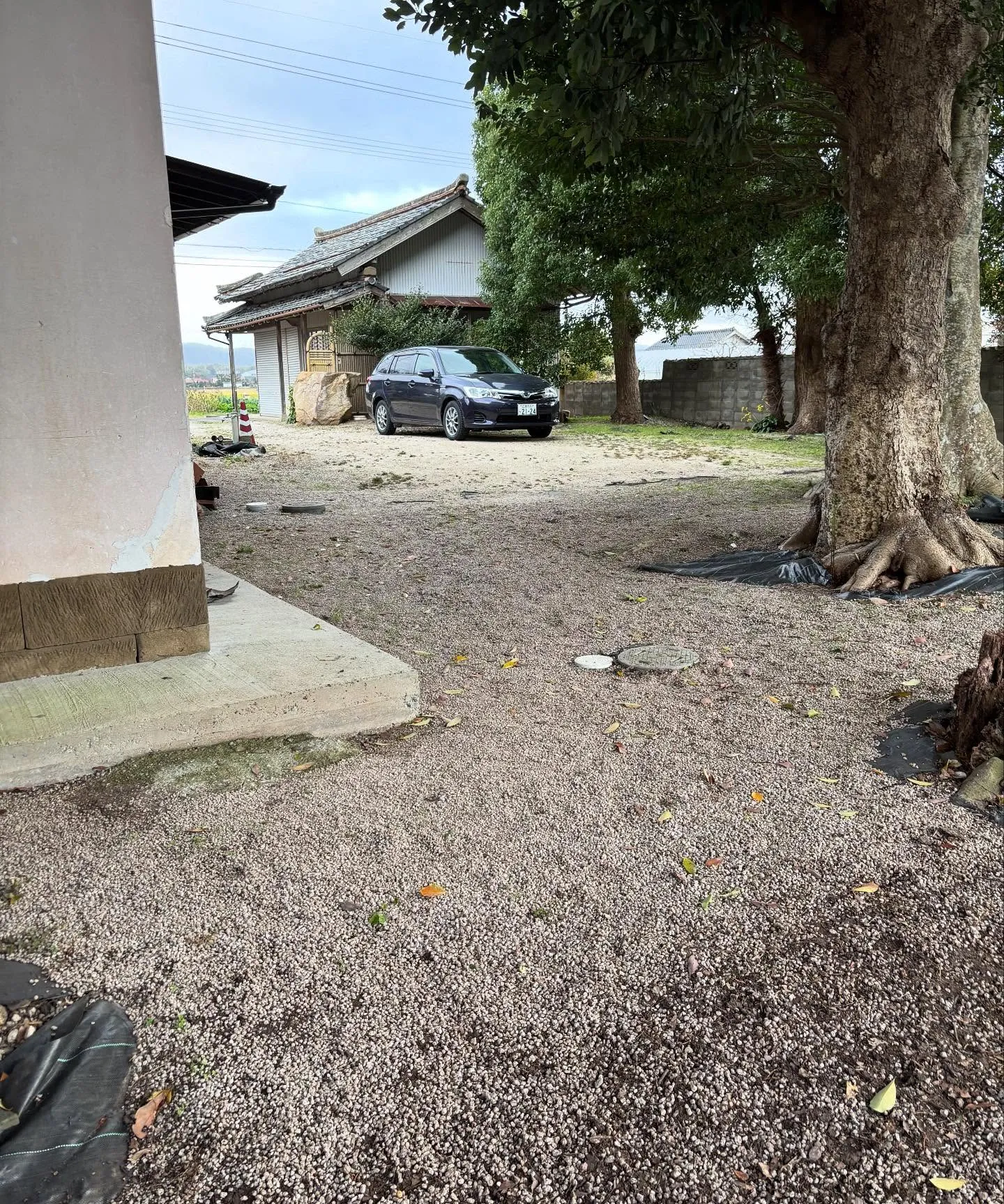 松江市の草取り、除草作業、お庭のお手入れについて🍃✨