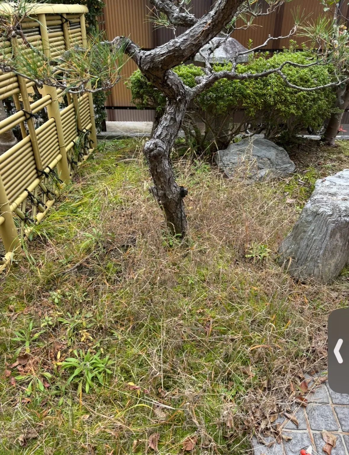 今日は天候が悪くて雪も降る中でしたが、お庭のお手入れ除草作業...