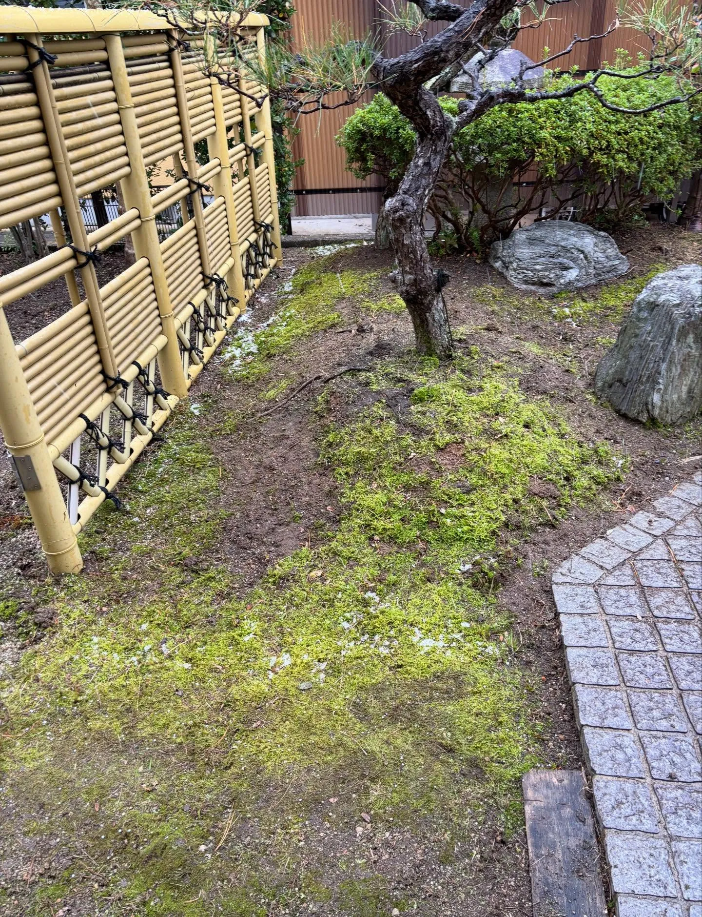 今日は天候が悪くて雪も降る中でしたが、お庭のお手入れ除草作業...