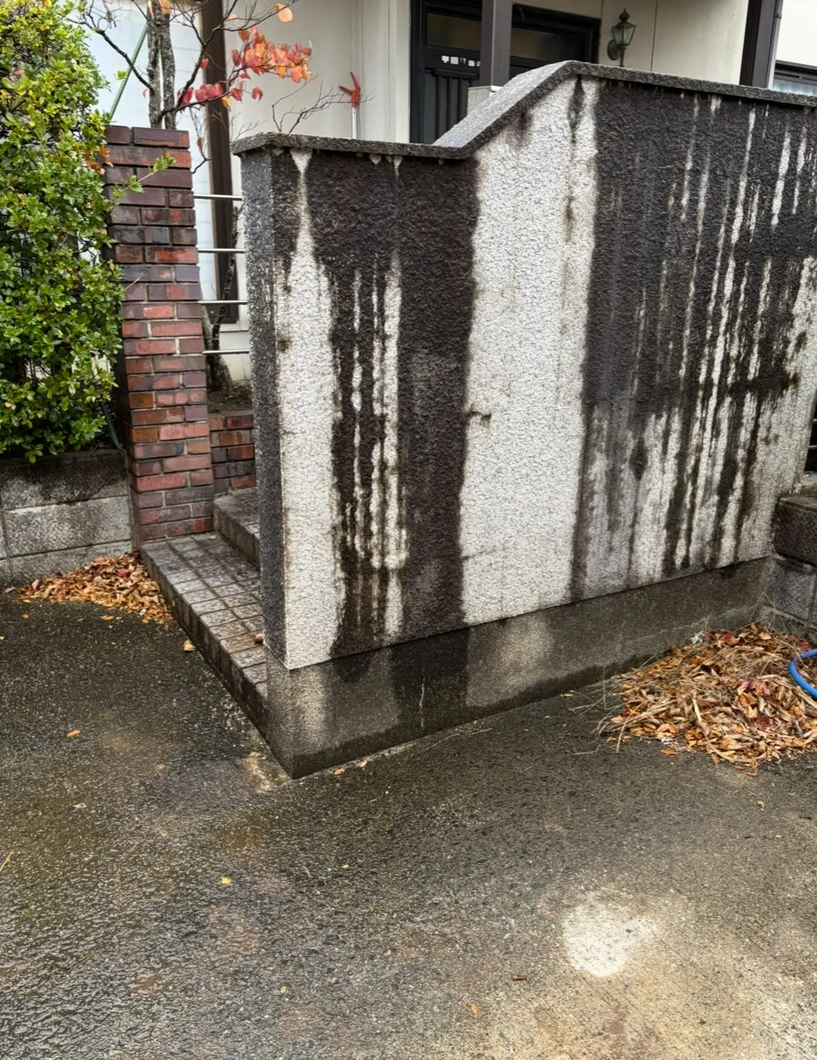 今日は天候が悪くて雪も降る中でしたが、お庭のお手入れ除草作業...