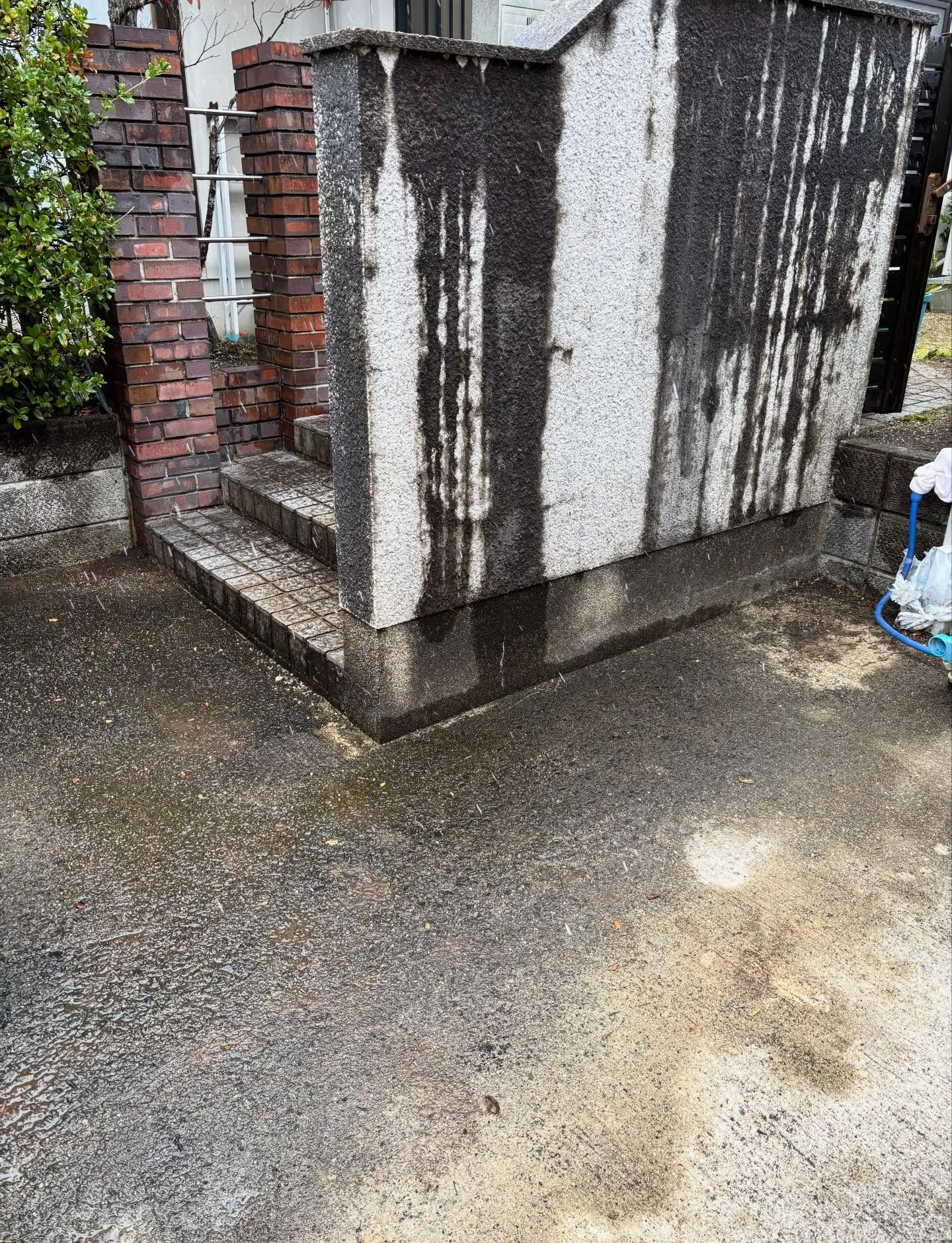 今日は天候が悪くて雪も降る中でしたが、お庭のお手入れ除草作業...