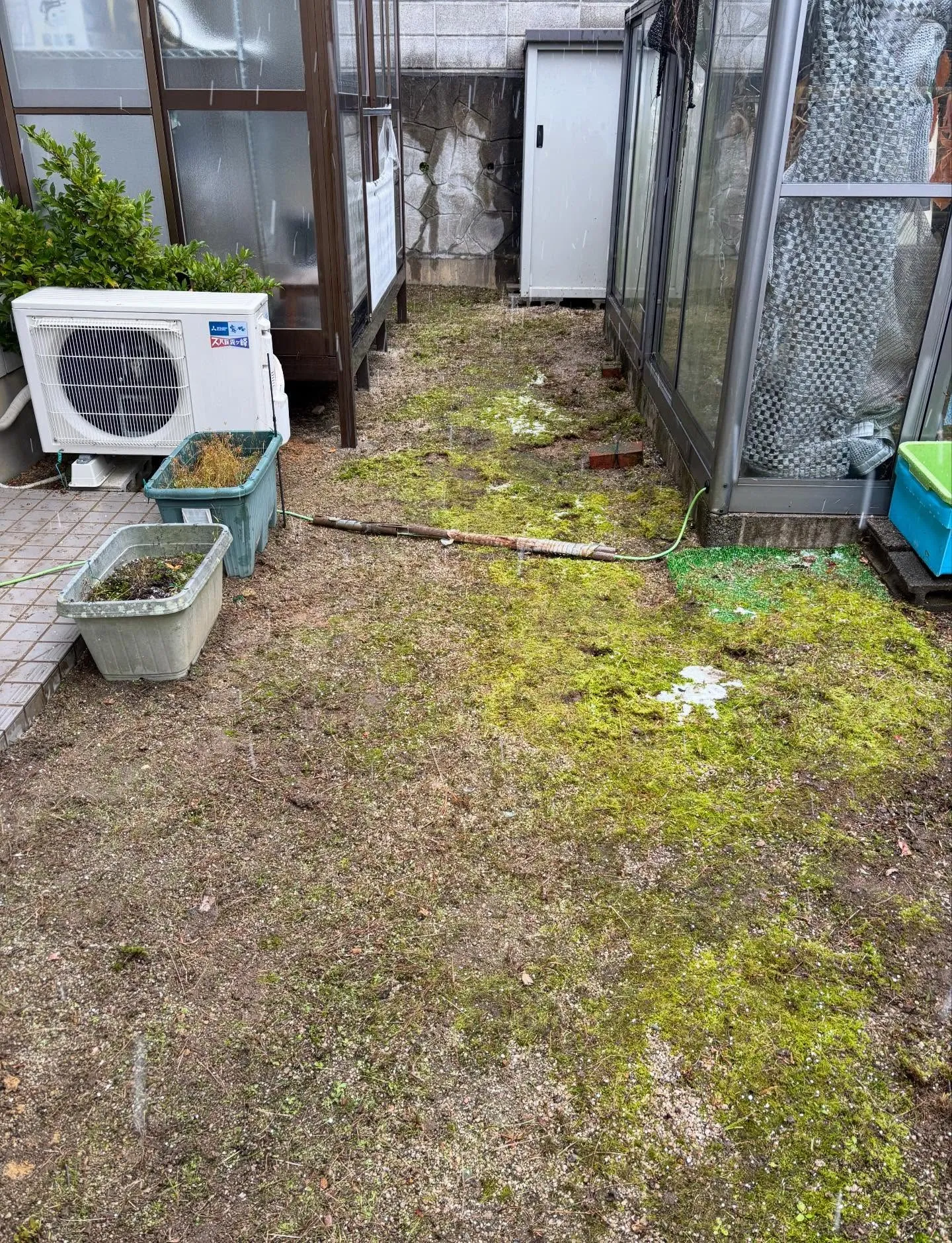 今日は天候が悪くて雪も降る中でしたが、お庭のお手入れ除草作業...