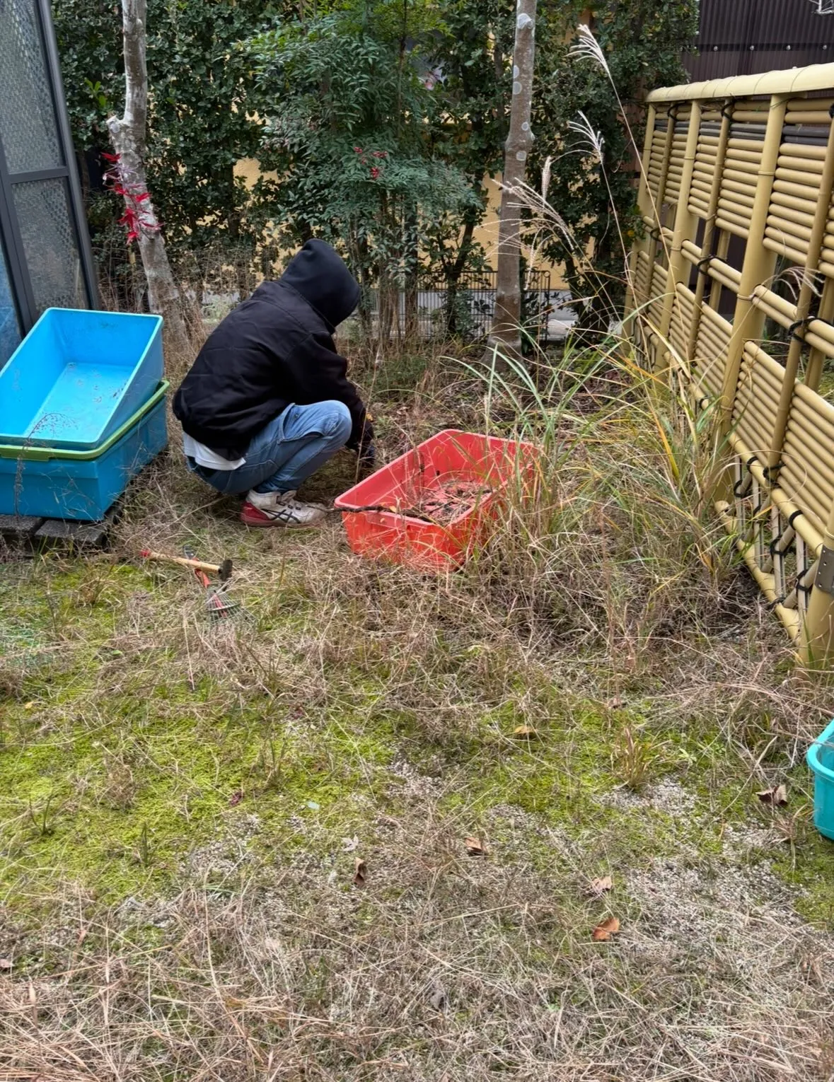 今日は天候が悪くて雪も降る中でしたが、お庭のお手入れ除草作業...