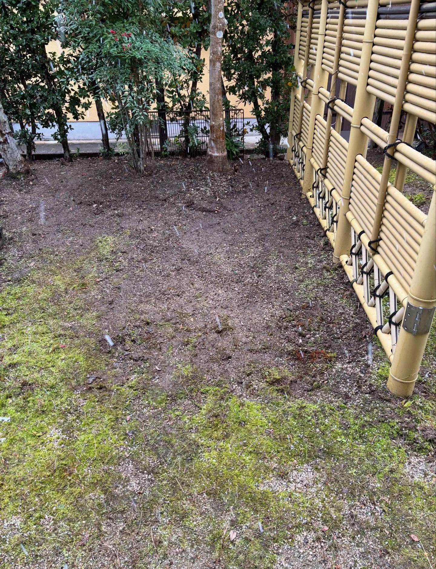 今日は天候が悪くて雪も降る中でしたが、お庭のお手入れ除草作業...