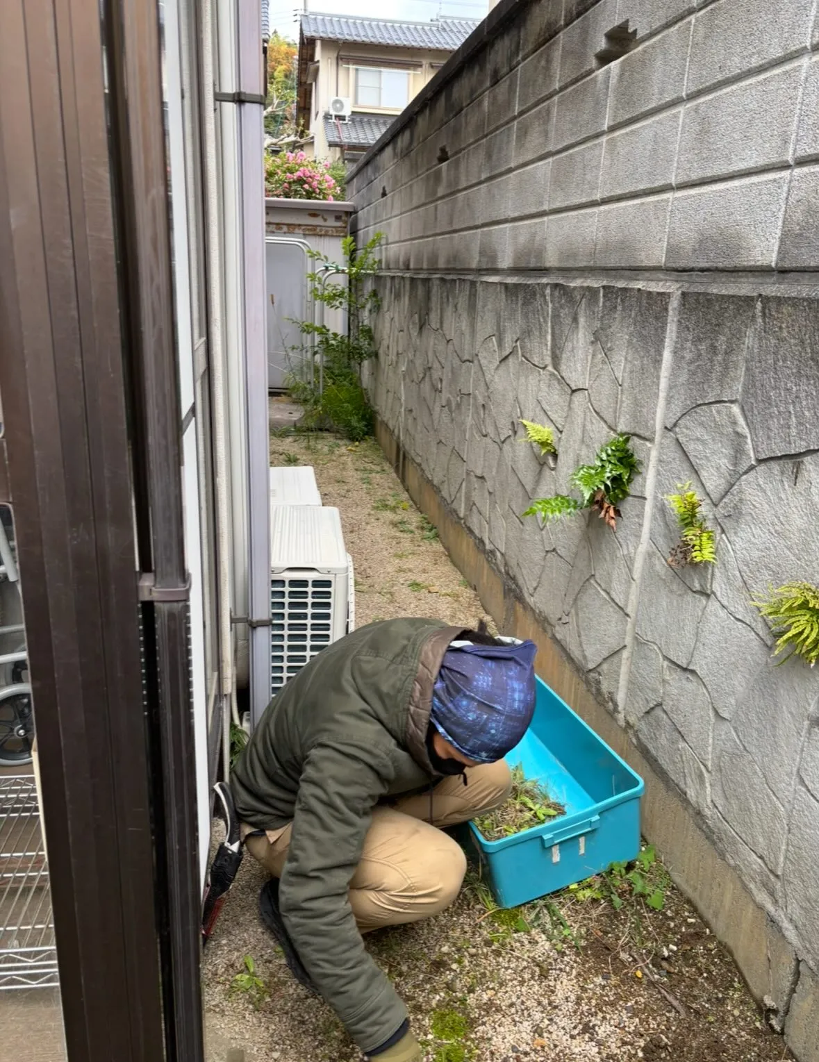 今日は天候が悪くて雪も降る中でしたが、お庭のお手入れ除草作業...