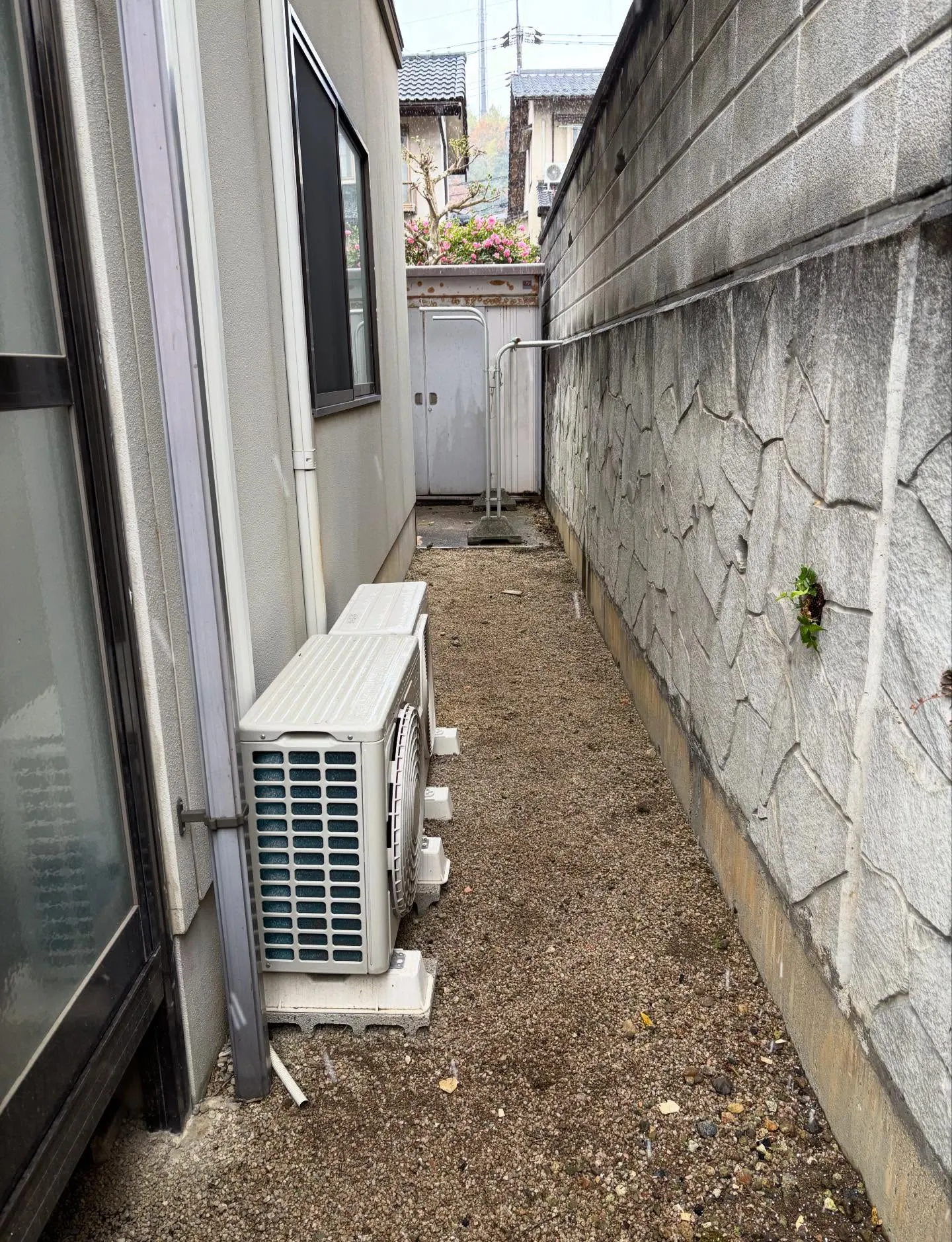 今日は天候が悪くて雪も降る中でしたが、お庭のお手入れ除草作業...