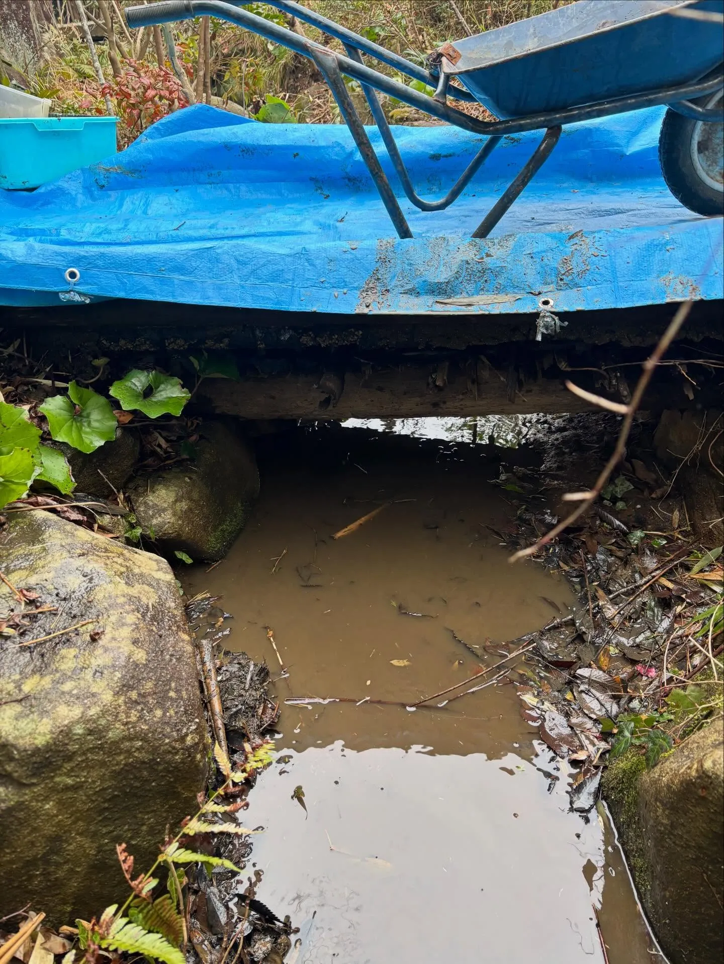 松江市、庭の管理、庭清掃、溝掃除は便利屋ファミリー松江店にお...