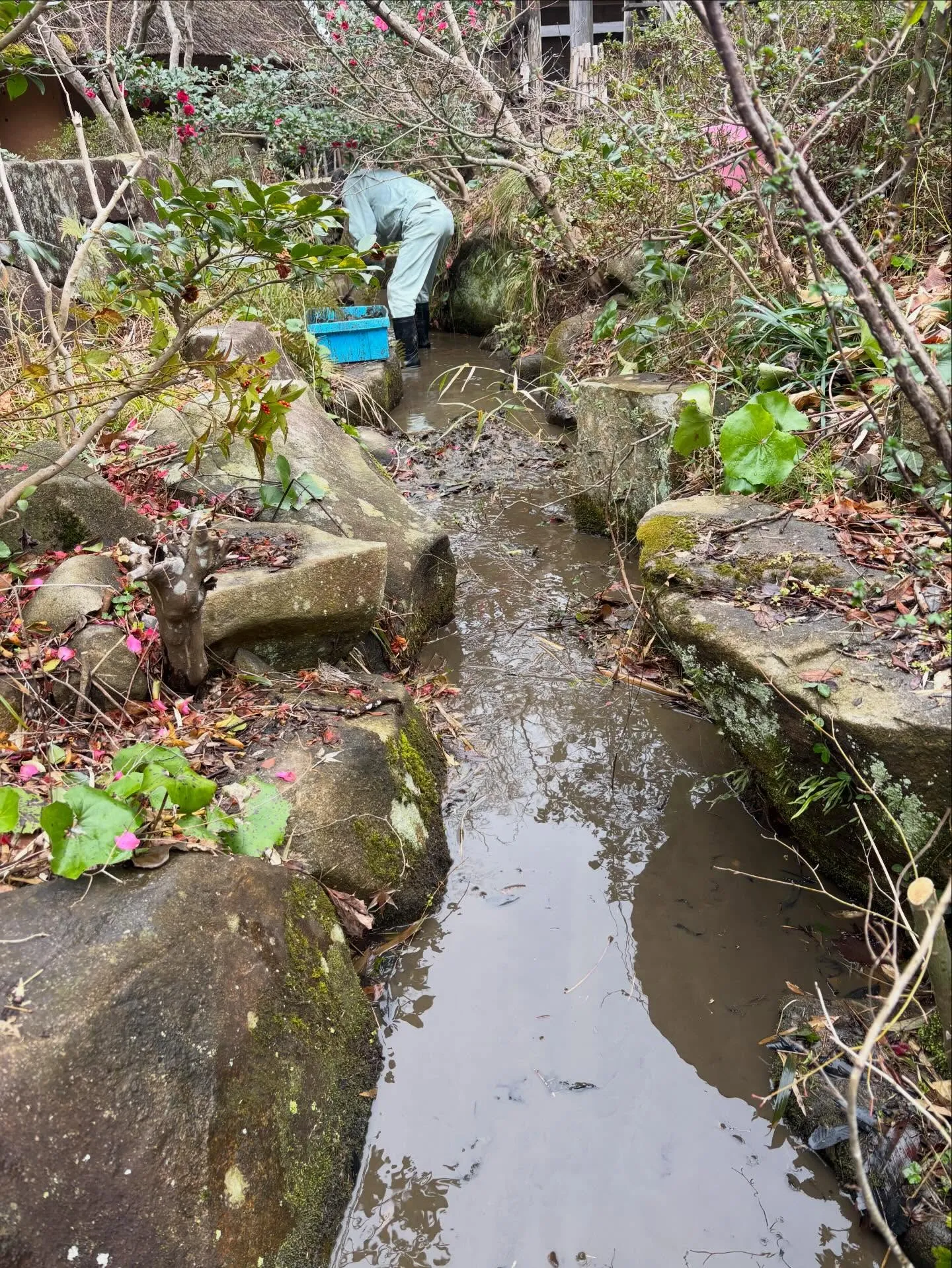 松江市、庭の管理、庭清掃、溝掃除は便利屋ファミリー松江店にお...