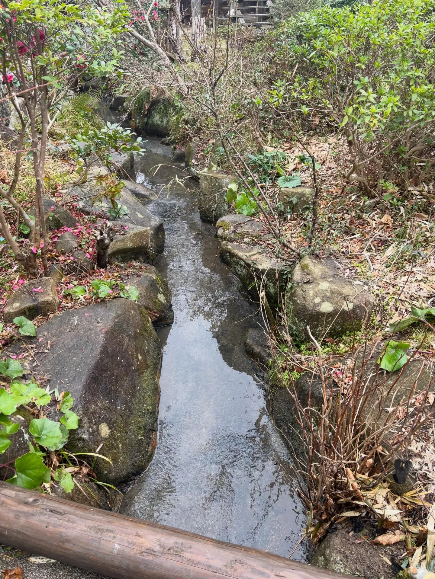 松江市、庭の管理、庭清掃、溝掃除は便利屋ファミリー松江店にお...