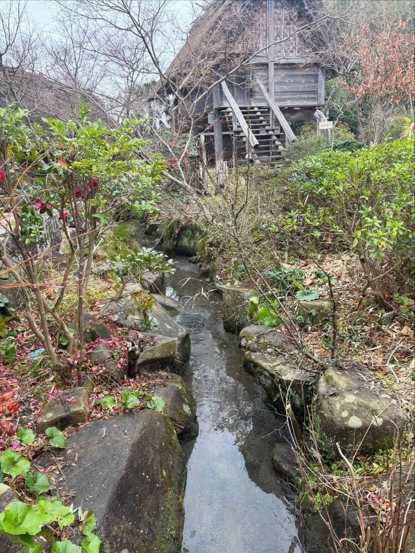 松江市、庭の管理、庭清掃、溝掃除は便利屋ファミリー松江店にお...