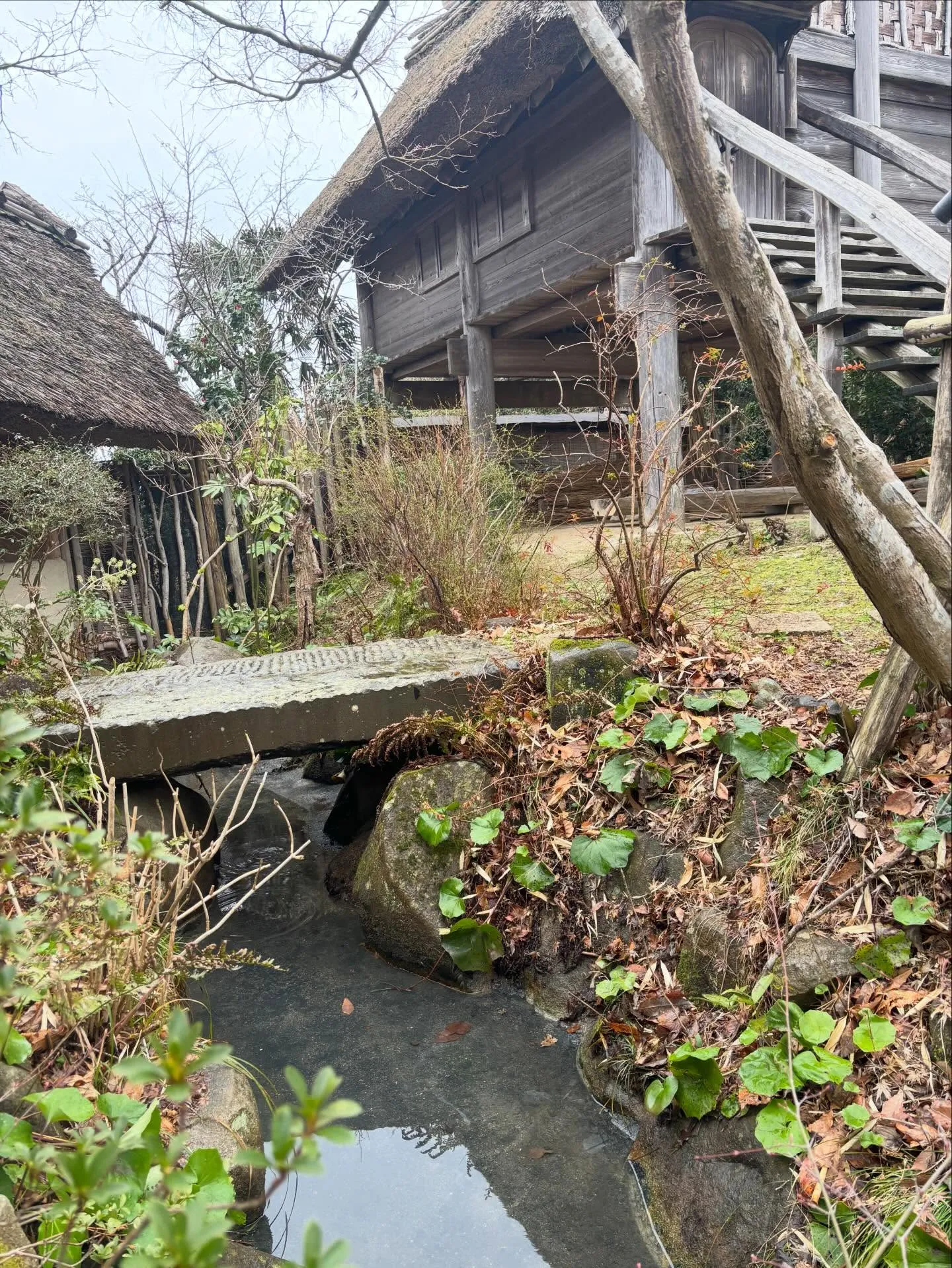 松江市、庭の管理、庭清掃、溝掃除は便利屋ファミリー松江店にお...
